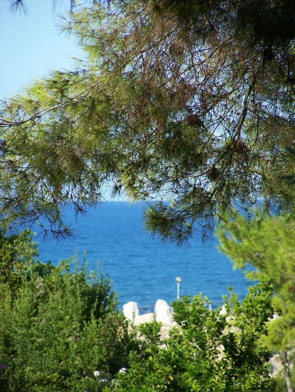 Tenuta Molino Di Mare- Ecoresort Con Villini Rodi Garganico Exterior foto