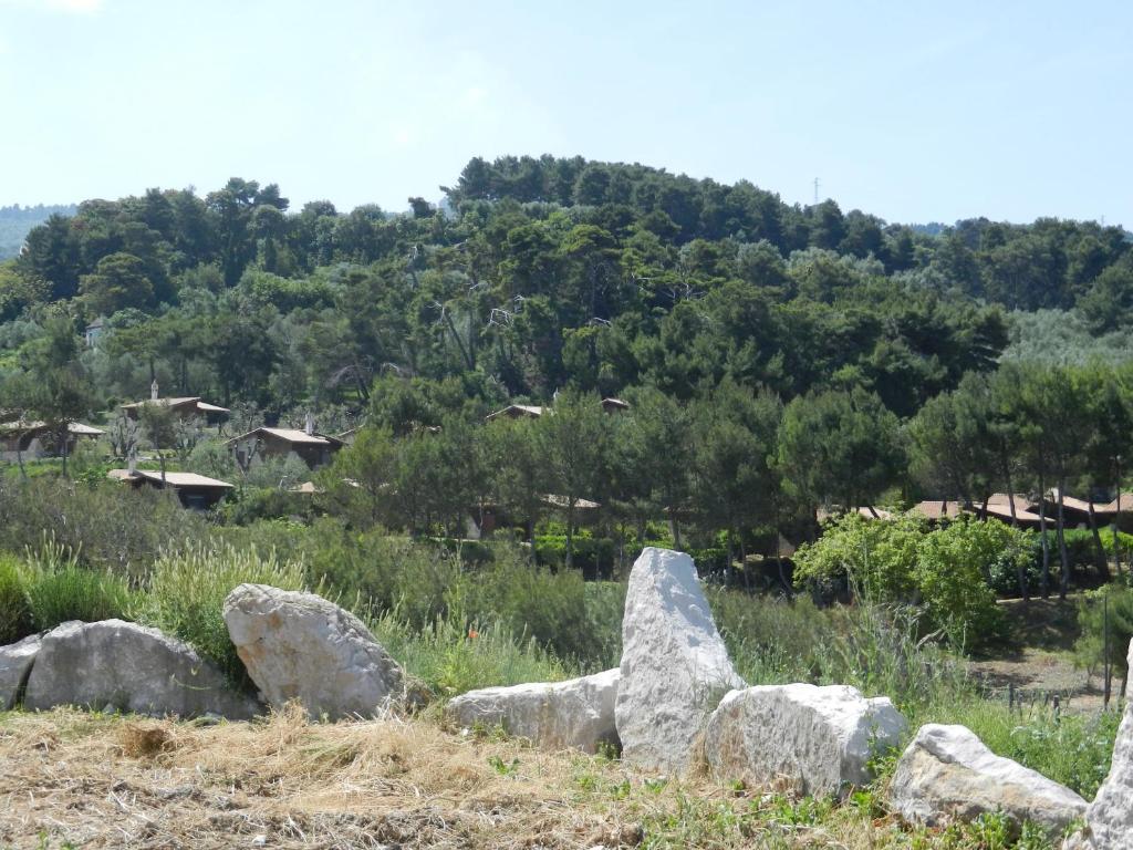 Tenuta Molino Di Mare- Ecoresort Con Villini Rodi Garganico Exterior foto