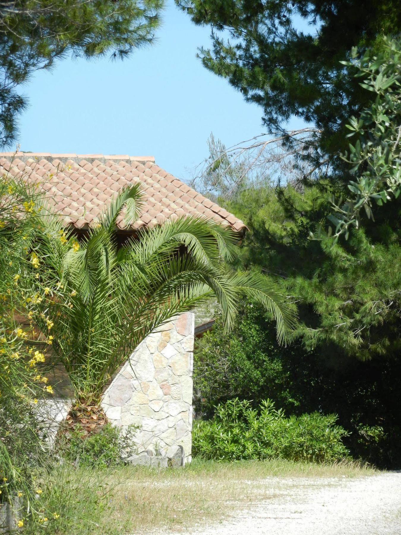 Tenuta Molino Di Mare- Ecoresort Con Villini Rodi Garganico Exterior foto